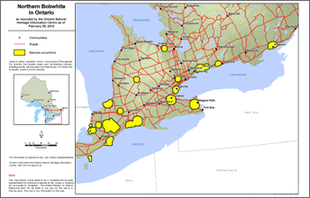 map of northern bobwhite range