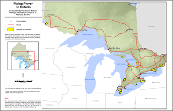 map of piping plover range