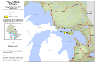 map of pitchers thistle range