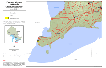 map of pugnose-minnow range