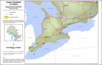 map of purple twayblade range