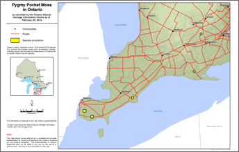 map of pygmy pocket moss range