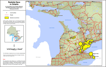 map of redside dace range