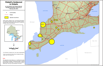 map of riddell’s goldenrod range