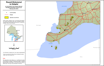 map of round hickorynut range