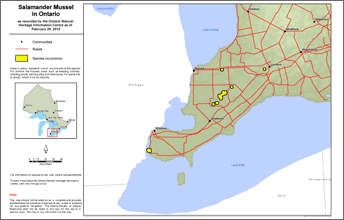 map of salamander mussel range