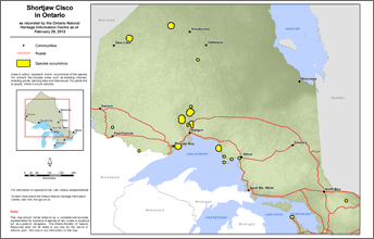 map of shortjaw cisco range