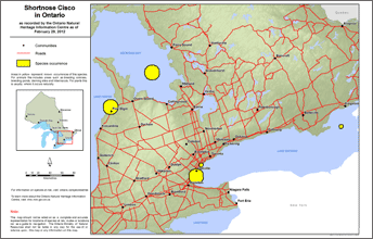 map of shortnose cisco range