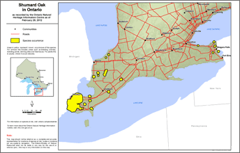 map of shumard oak range