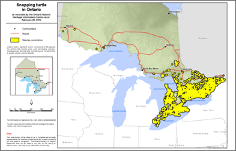 map of snapping turtle range