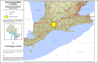 map of spoon-leaved moss range