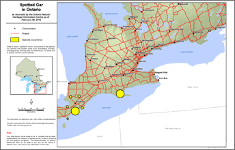 map of spotted gar range