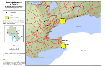 map of spring salamander range