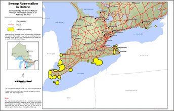 map of swamp rose-mallow range