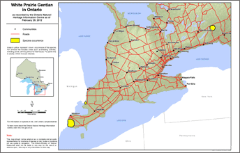 map of white prairie gentian range