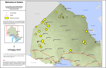 map of wolverine range