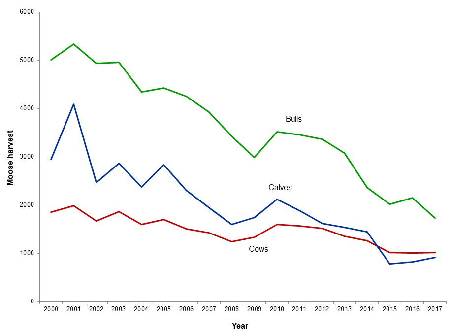 figure showing declining harvest of bull, cow and calf moose in Ontario since 2000.