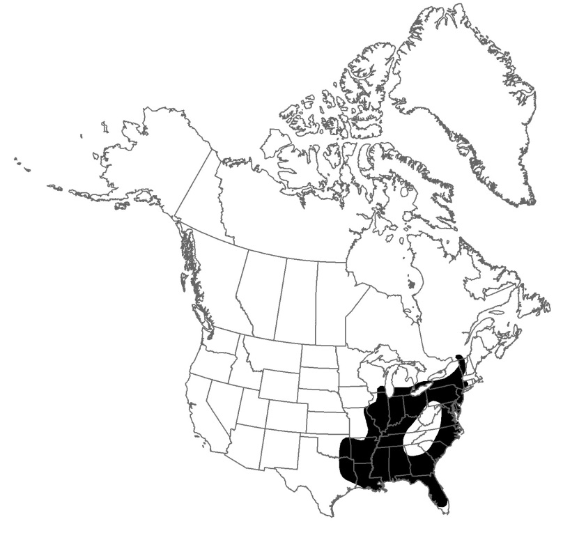 Distribution of Flase Hop Sedge in North America. Map by Y. Lachance, reproduced with permission of Ministère du Développement durable, de l’Environnement et des Parcs du Québec (in COSEWIC 2011).