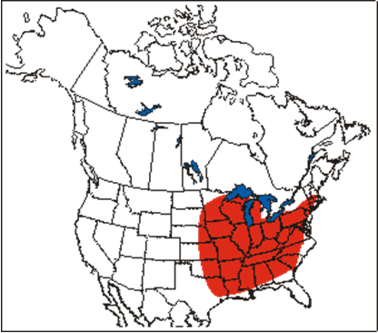 Figure 1 shows the North American distribution of Showy Goldenrod, which extends through much of the eastern United States.