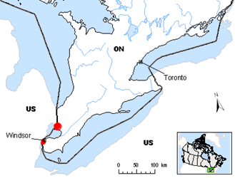 Figure 2 shows the distribution of Pink Milkwortin Canada which occurs only in the province of Ontario with three populations on Walpole Island First Nation in the St. Clair River delta and one on the Ojibway Prairie Provincial Nature Reserve near Windsor.