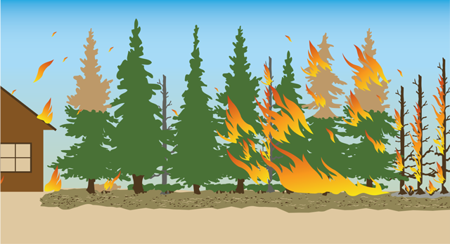 Effect of embers from the adjacent wildland fire landing on the roof of a structure and surrounding vegetation, resulting in further ignition of spot fires