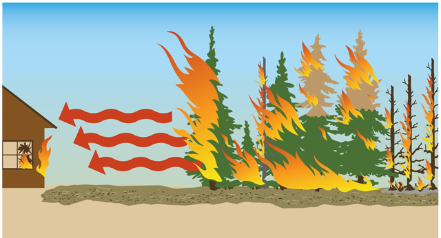 Image of radiant energy/heat transfers from burning trees to the side of the structure