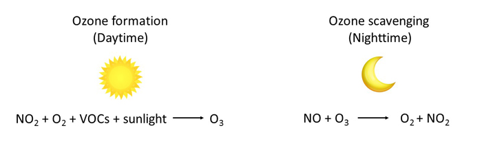 Figure 7: Schematic of formation and scavenging of ozone