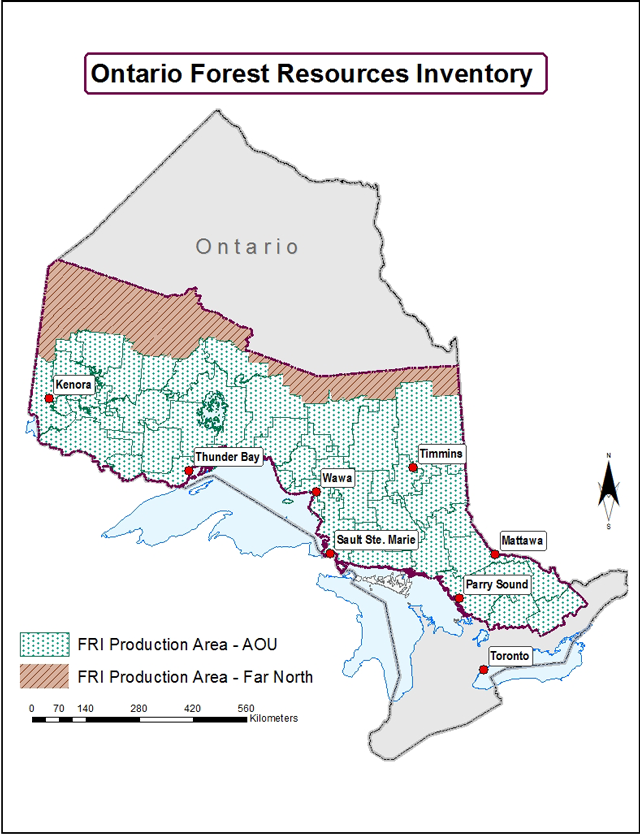 map of Ontario’s enhanced Forest Resources Inventory. Areas with green crosses represent Forest Resources Inventory Production Area - Areas of Understanding and red areas with red diagonal lines represent Forest Resources Inventory’s Far North region.