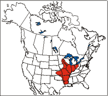 North American Distribution of Skinner’s Agalinis (Modified from: Canne–Hilliker, 1988).