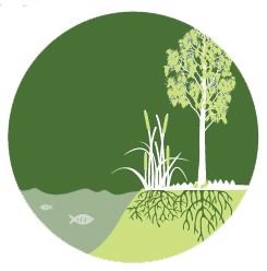 An infographic lists the many ecosystem services provided by wetlands. Including flood & erosion mitigation, cultural and spiritual significance, climate change mitigation, ground water recharge and discharge, recreation and tourism, and providing a source of food and medicines.
