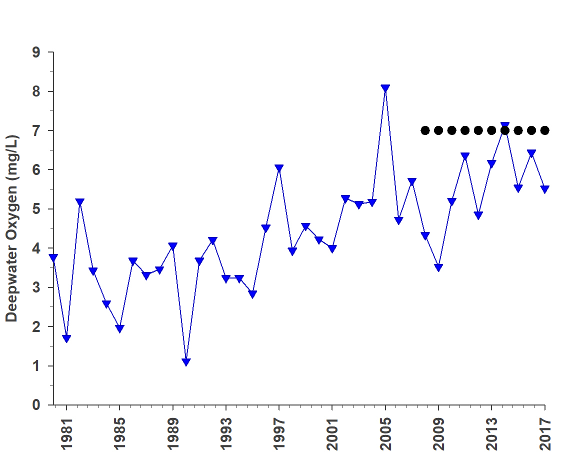 This graph shows changes in deep water oxygen (milligrams per litre) between 1980 and 2017 measured at the deepest station in the lake. During this time deep water oxygen levels have generally increased. The target in the Plan of a deep water dissolved oxygen level of 7 milligrams per litre to restore a self-sustaining coldwater fish community in Lake Simcoe is indicated by the dotted line. 