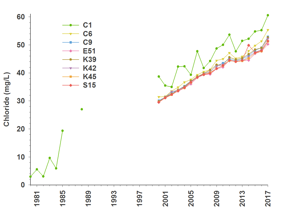 This graph shows average (yearly) changes in chloride concentrations (milligrams per litre) between 1980 and 2017 at eight stations on Lake Simcoe. During this time chloride concentrations have significantly increased.