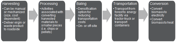 Biomass Delivery. Starting with harvesting, which can be manual or mechanized, and delivers either virgin or waste product to roadside. After harvesting is processing, which is the activities associated with converting the harvested materials to smaller pieces. Then comes bailing, with a densification option for reducting transportation costs and is performed either on or off site. Then the product is transported to the energy facility via tractor-truck or transport containers. There it is finally converted to electricity.