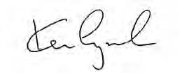 Kevin Lynch Signature
