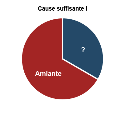 Diagramme circulaire indiquant la « cause suffisante 1 » avec une exposition à l’amiante ainsi qu’une cause inconnue.