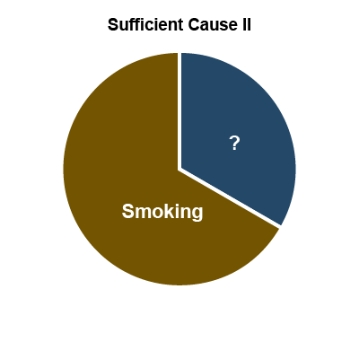 Pie chart showing “sufficient cause 2” assmoking plus an unknown cause.