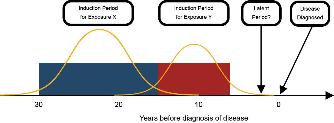 Figure 7 shows two induction periods for exposure to two different substances. The induction periods for Exposure X (30 to 15 years before the diagnosis of disease) and Y (15 years to 5 years before the diagnosis of disease) are overlayed with bell-shaped curves to show that the time period when exposure X and Y can contribute to a disease is actually a distribution, and does not follow clear cut points.