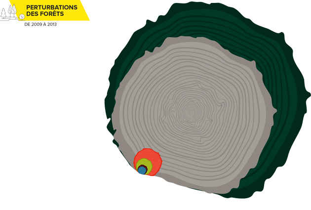 Superficie annuelle totale des forêts aménagées par rapport à la superficie moyenne des forêts perturbées, de 2009 à 2013