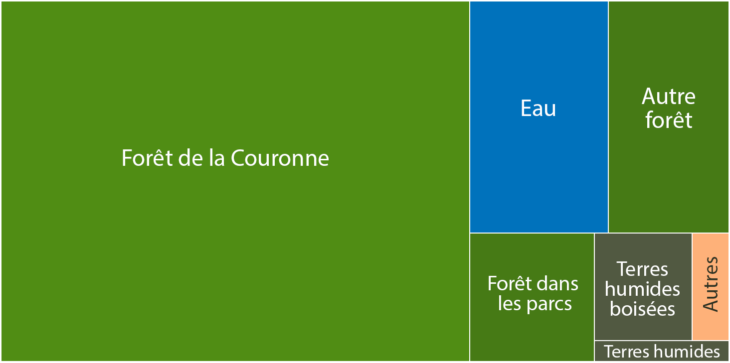 Comparaison des superficies relatives des catégories de terres de l’Ontario : forêts, terres humides et autres 