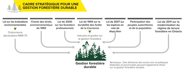 Le cadre d’élaboration des politiques en Ontario régissant la gestion forestière durable 