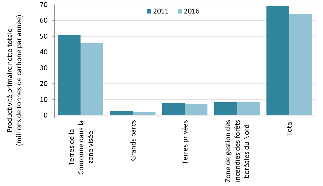productivité primaire nette svt