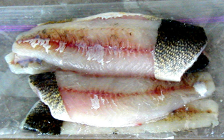 photo of properly packaged fish with a skin patch visible.