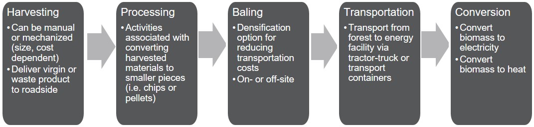 Figure 9: Biomass Delivery. Harvesting: can be manual or mechanized (size, cost dependent); Deliver virgin or waste product to roadside. Processing: activities associated with converting harvested materials to smaller pieces (i.e. chips or pellets). Baling: densification option for reduction transportation costs; on or off site. Transportation: transport from forest to energy facility via tractor-truck or transport containers. Conversion: convert biomass to electricity; convert biomass to heat.