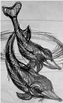 a gesture sketch of two fish by J. DeFrese