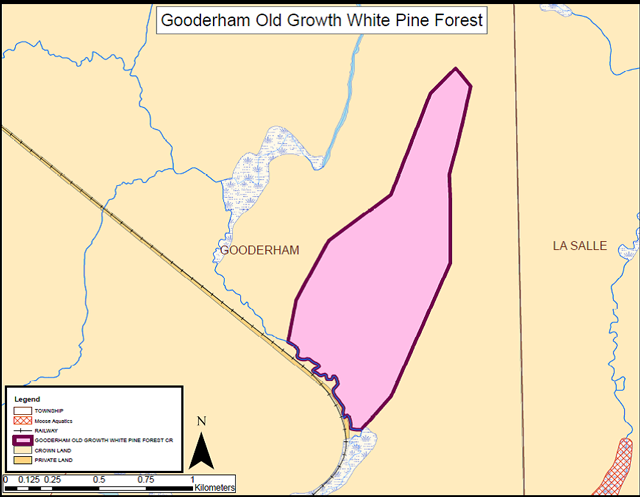 map of the Gooderham Old Growth White Pine Forest. White area indicates township, red cross-hatching indicates moose aquatics, black lines indicates railway, pink area indicates Gooderham Old Growth White Pine Forest Conservation Reserve, light yellow area indicates Crown land and dark yellow area indicates private land.