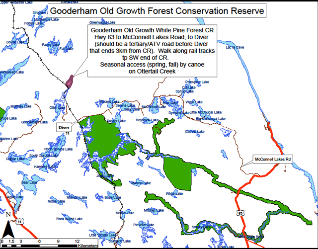 map of the location of Gooderham Old Growth Forest Conservation Reserve. Pop up window in image with directions reads: Gooderham Old Growth White Pine Forest Conservation Reserve Highway 63 to McConnell Lakes Road, to Diver (should be a tertiary/all-terrain vehicle road before Diver that ends 3 kilometres from the conservation reserve. Walk along rail tracks to southwest end of conservation reserve. Seasonal access (spring, fall) by canoe on Ottertail Creek.