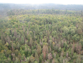 another colour photo of a summer view of the northern portion of the conservation reserve. 