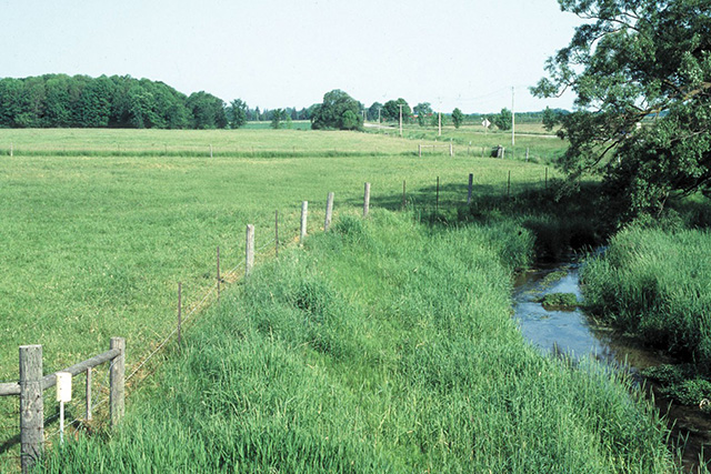 This picture shows a strategy for effective grazing management planning for streamside pastures in Perth County buy installing fencing along the stream edge.