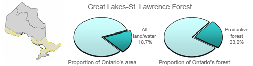 Pie area indicating Great Lakes-St.Lawrence forest region proportion of Ontario’s area and forest