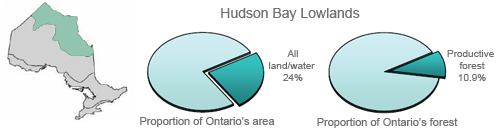 Pie area indicating Hudson Bay Lowlands proportion of Ontario’s area and forest
